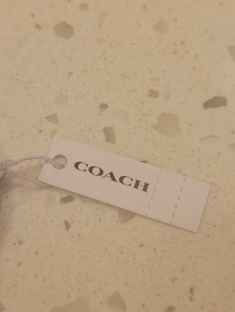 Coach Coral Pink Bunny Charm Key Charm with Crystal Eye - Picture 8 of 16